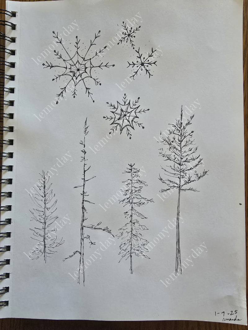 sketch done while we endured the snowstorm and ice